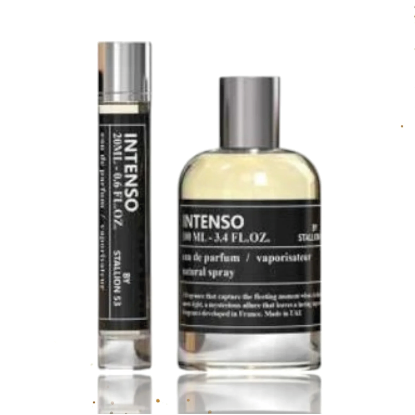 Intenso by Stallion