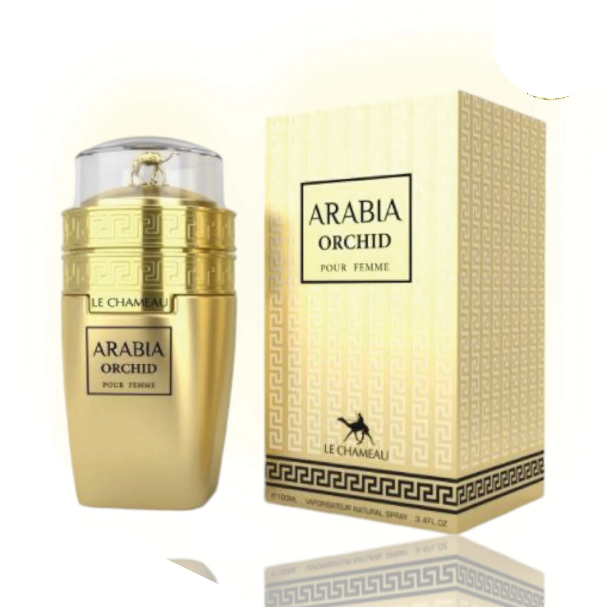 Arabia Orchid For Woman By Le Chameau 3.4 Oz Eau de Parfum
