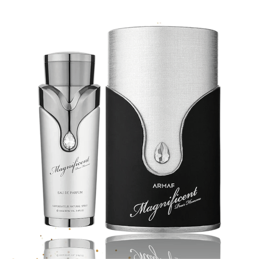 Magnífico Pour Homme de Armaf 3.4 oz EDP