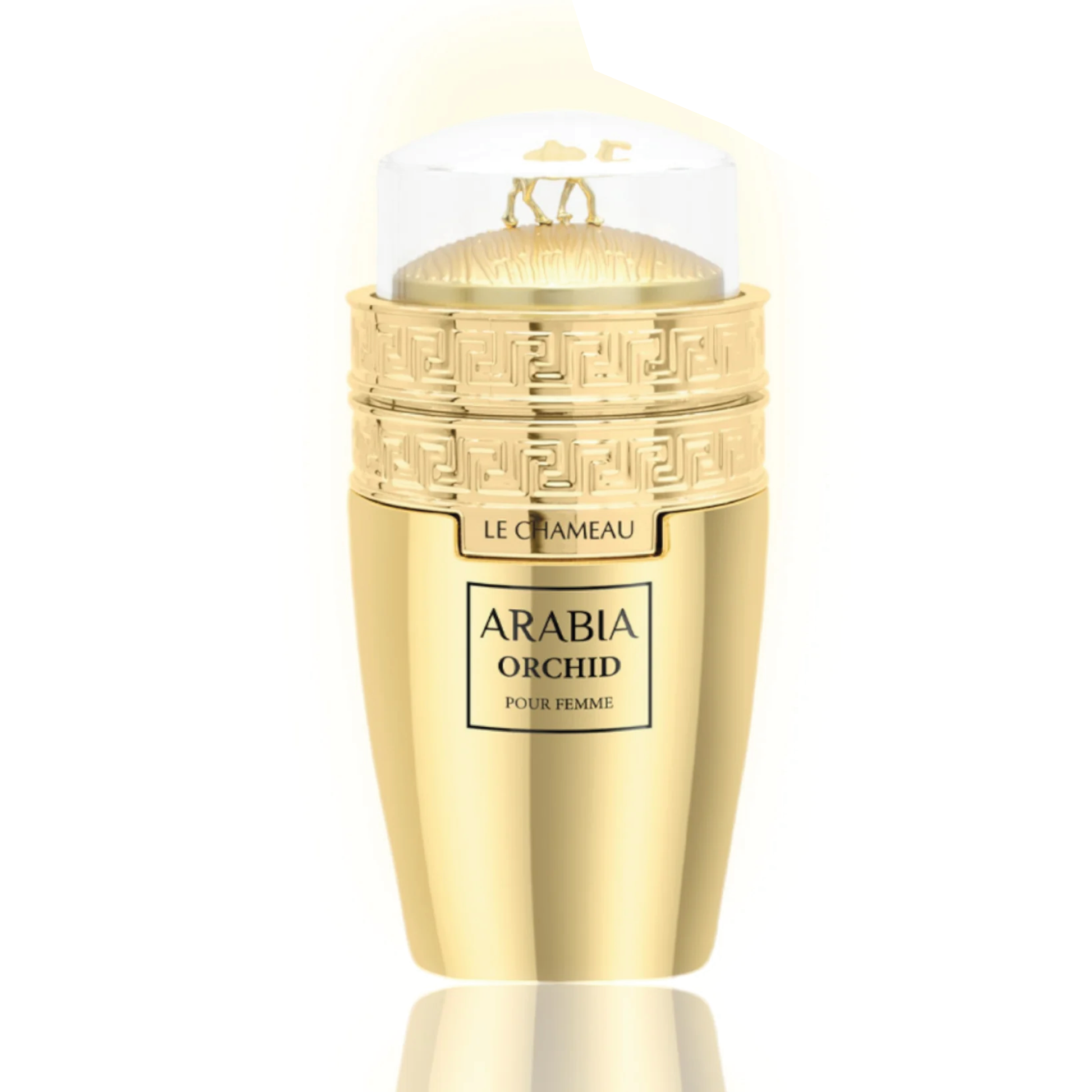 Arabia Orchid For Woman By Le Chameau 3.4 Oz Eau de Parfum