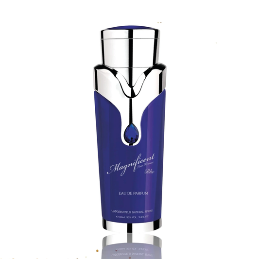 Magnífico Blu de Armaf 3.4 oz EDP